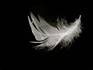 “Angel Feather” at My Women’s Fire&nbsp;Circle